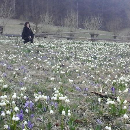 Садиба Під Гострою Жденьево Екстериор снимка