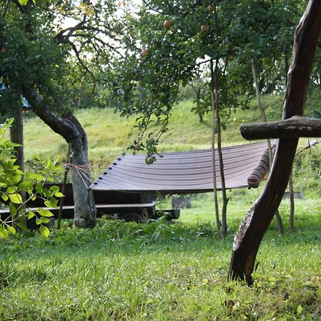 Садиба Під Гострою Жденьево Екстериор снимка